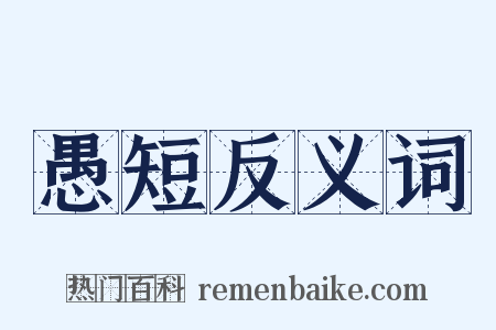 愚短反义词是什么意思的图片